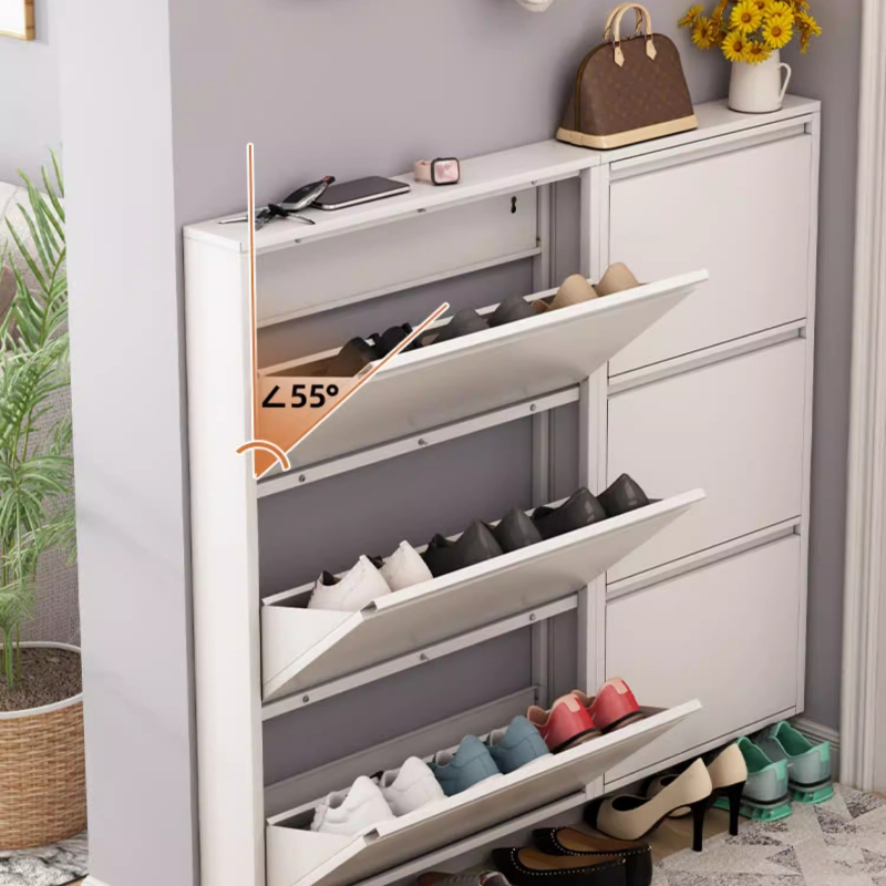 Modern Slim Shoe Cabinet, Larg - Shoe Rack Cabinet Narrow Entryway 评论和价格