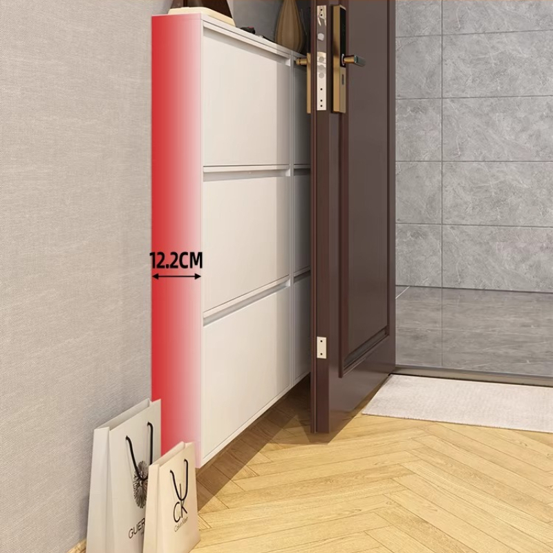 Modern Slim Shoe Cabinet, Larg - Shoe Rack Cabinet Narrow Entryway 评论和价格