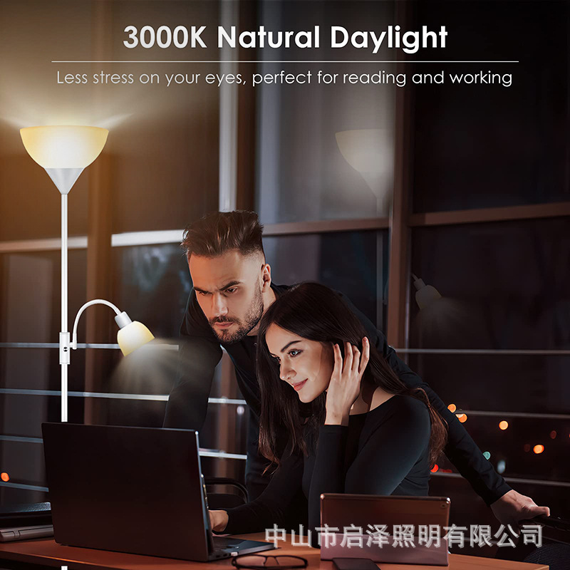Living room, bedroom, study, s - Sofas 评论和价格