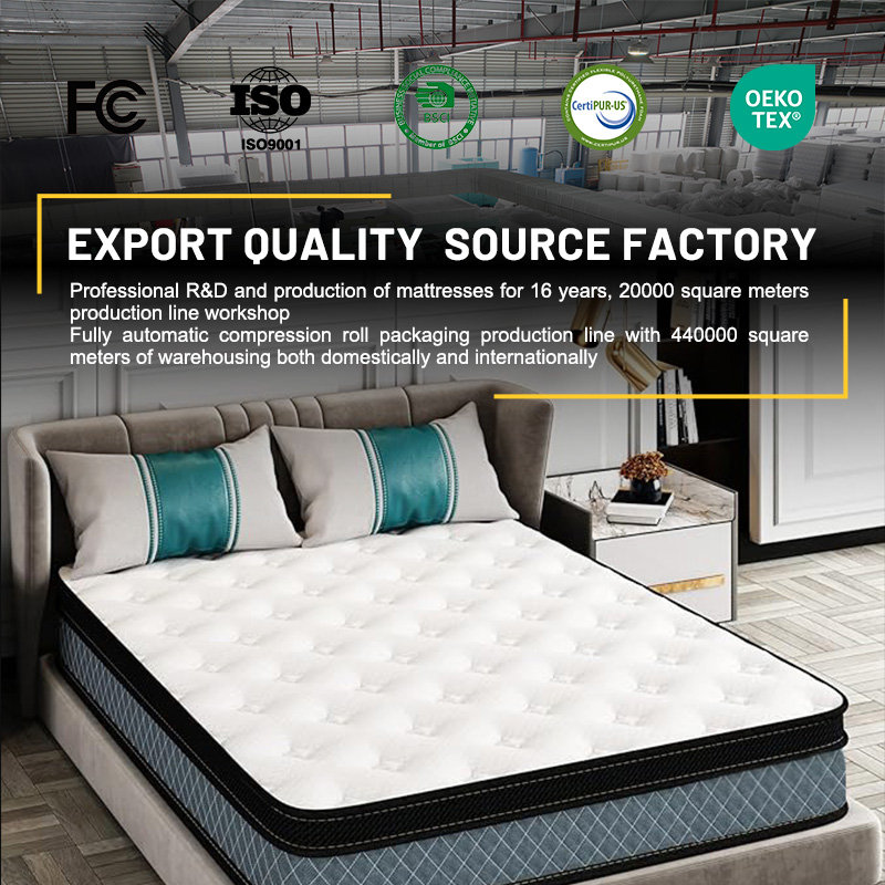 Hot Selling Euro Luxury King Q - Memory Foam Mattress In A Box Queen 评论和价格